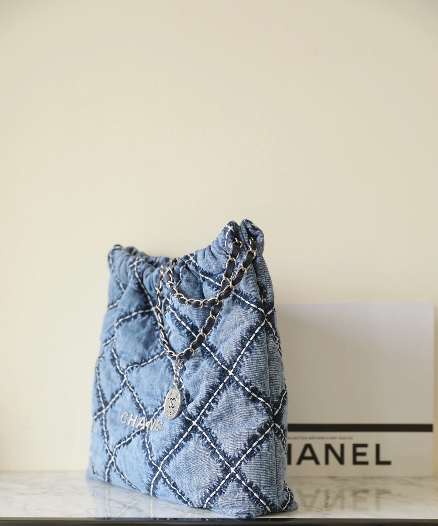 Chanel Bags 22