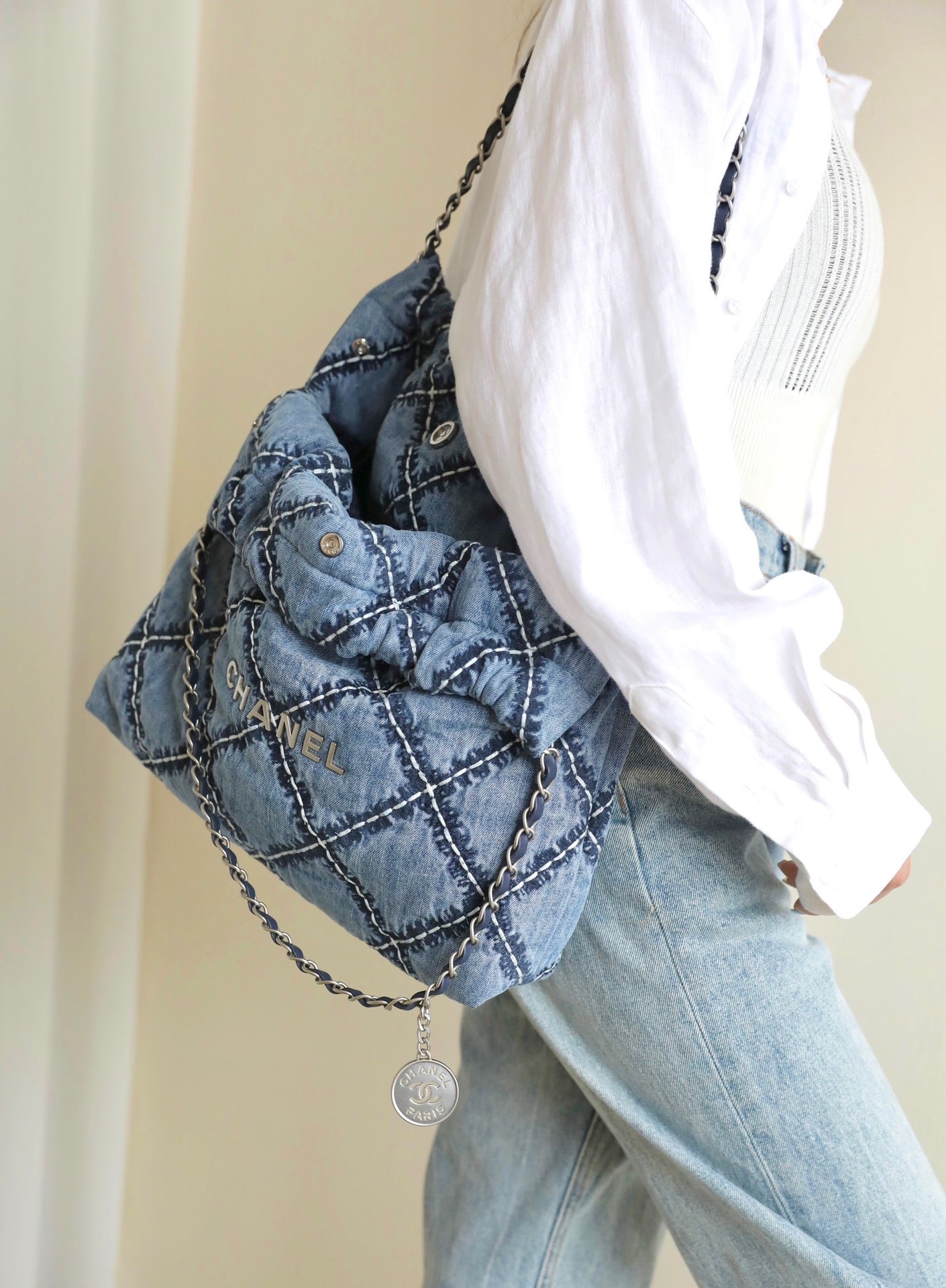Chanel Bags 22
