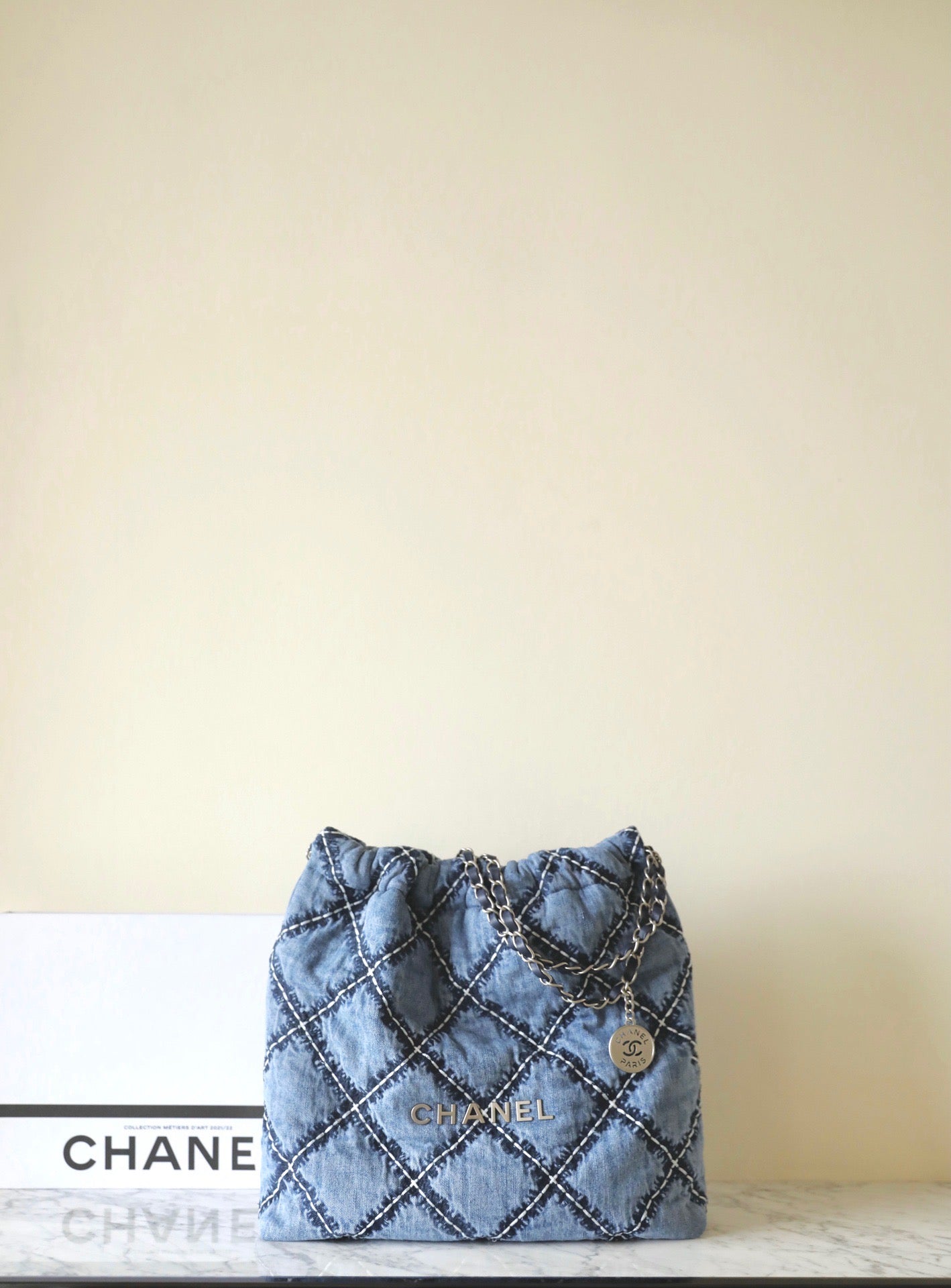 Chanel Bags 22