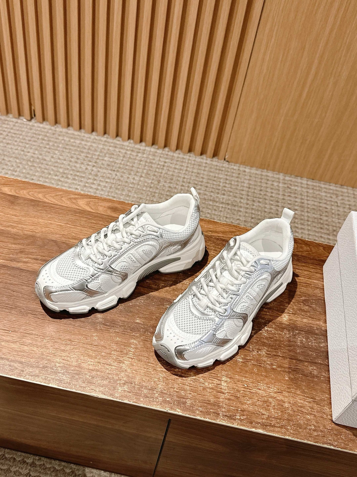 Dior Sneakers