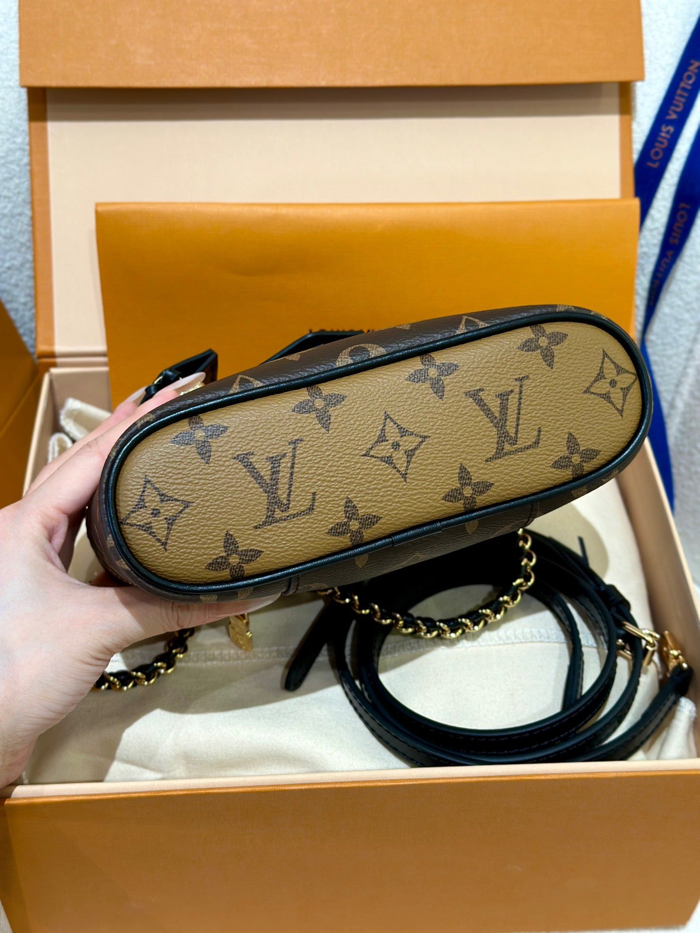 LV Bag