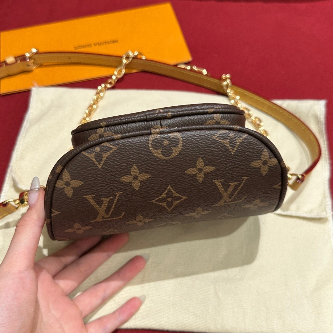LV Bag