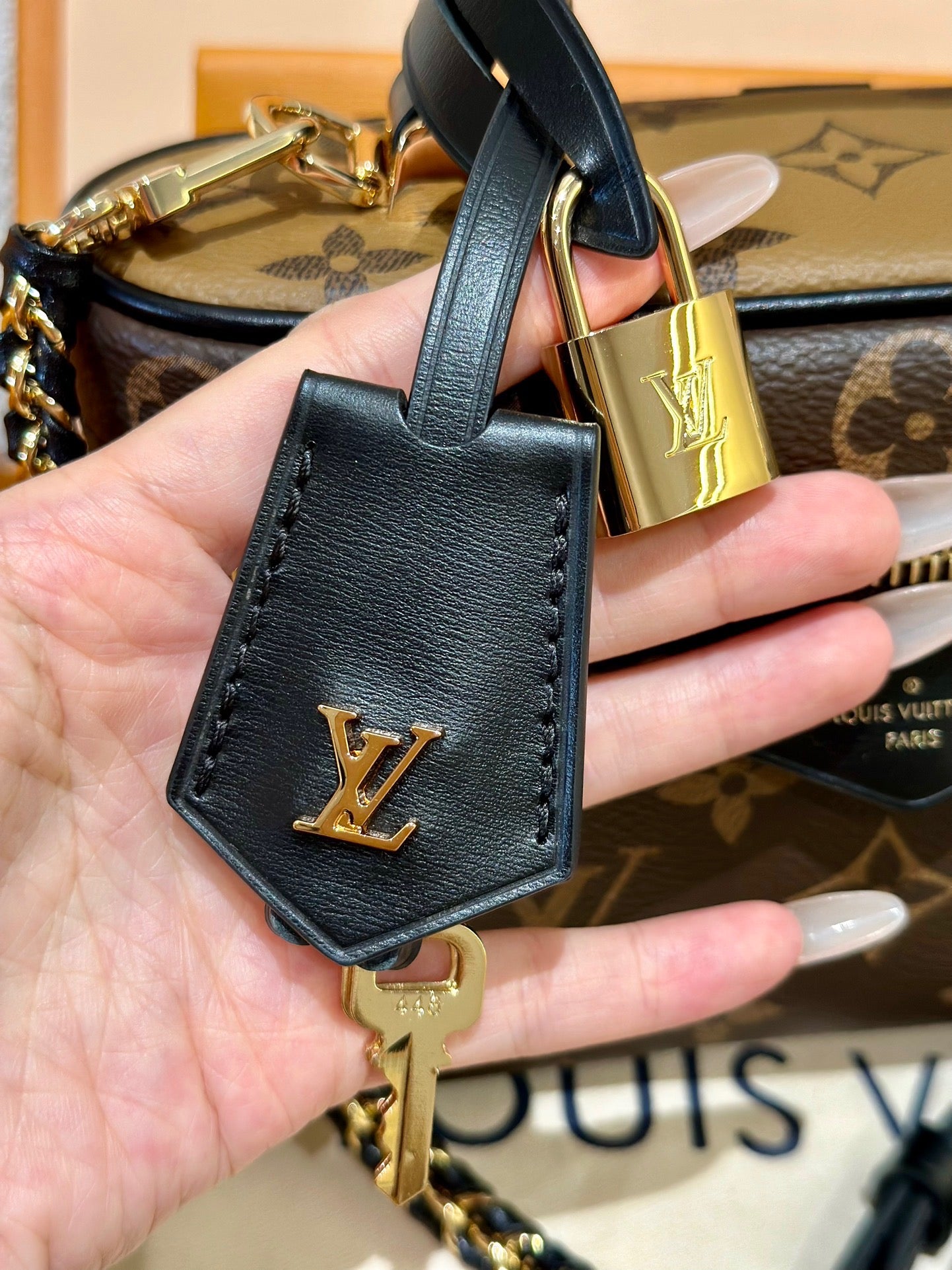 LV Bag