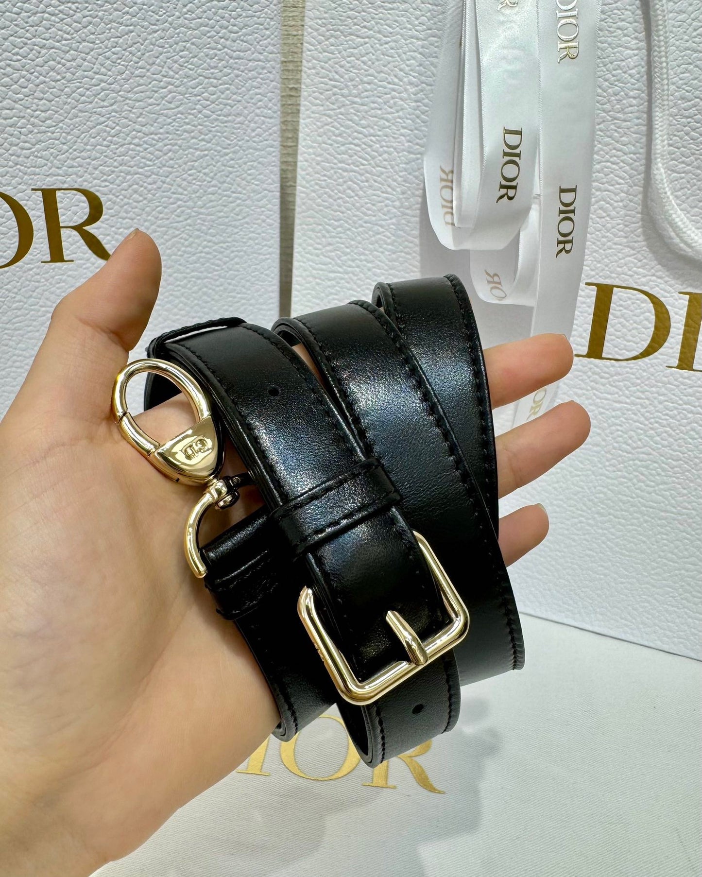 Dior Bag