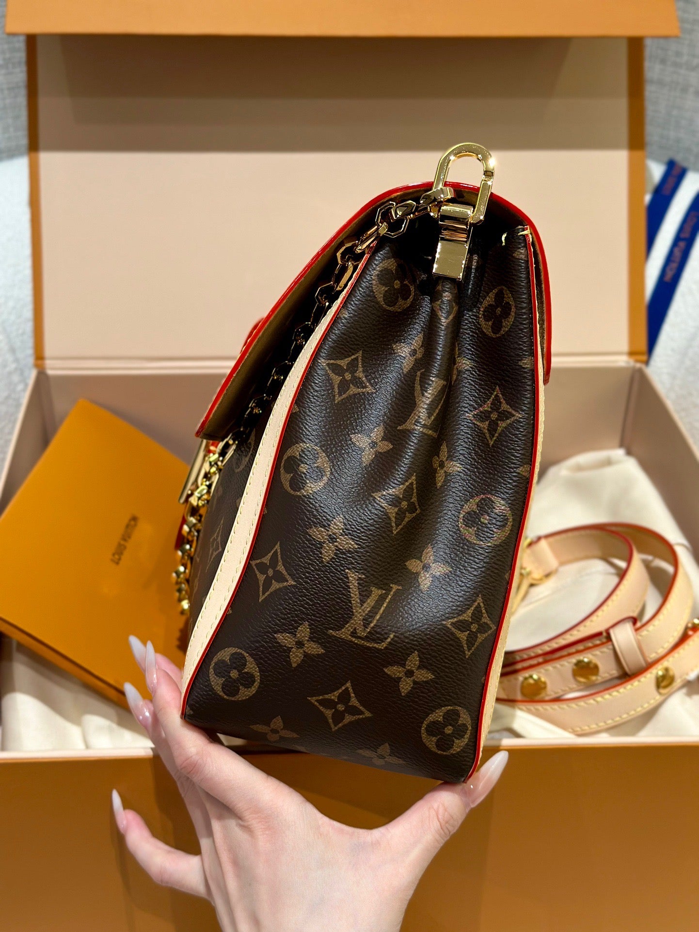 LV Bag