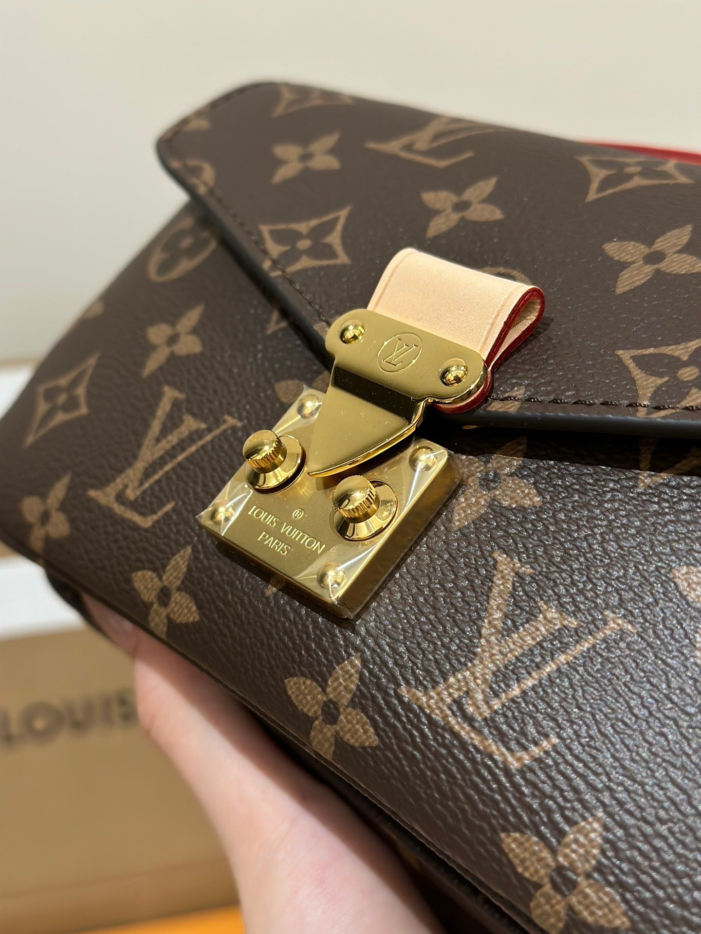 LV Bag
