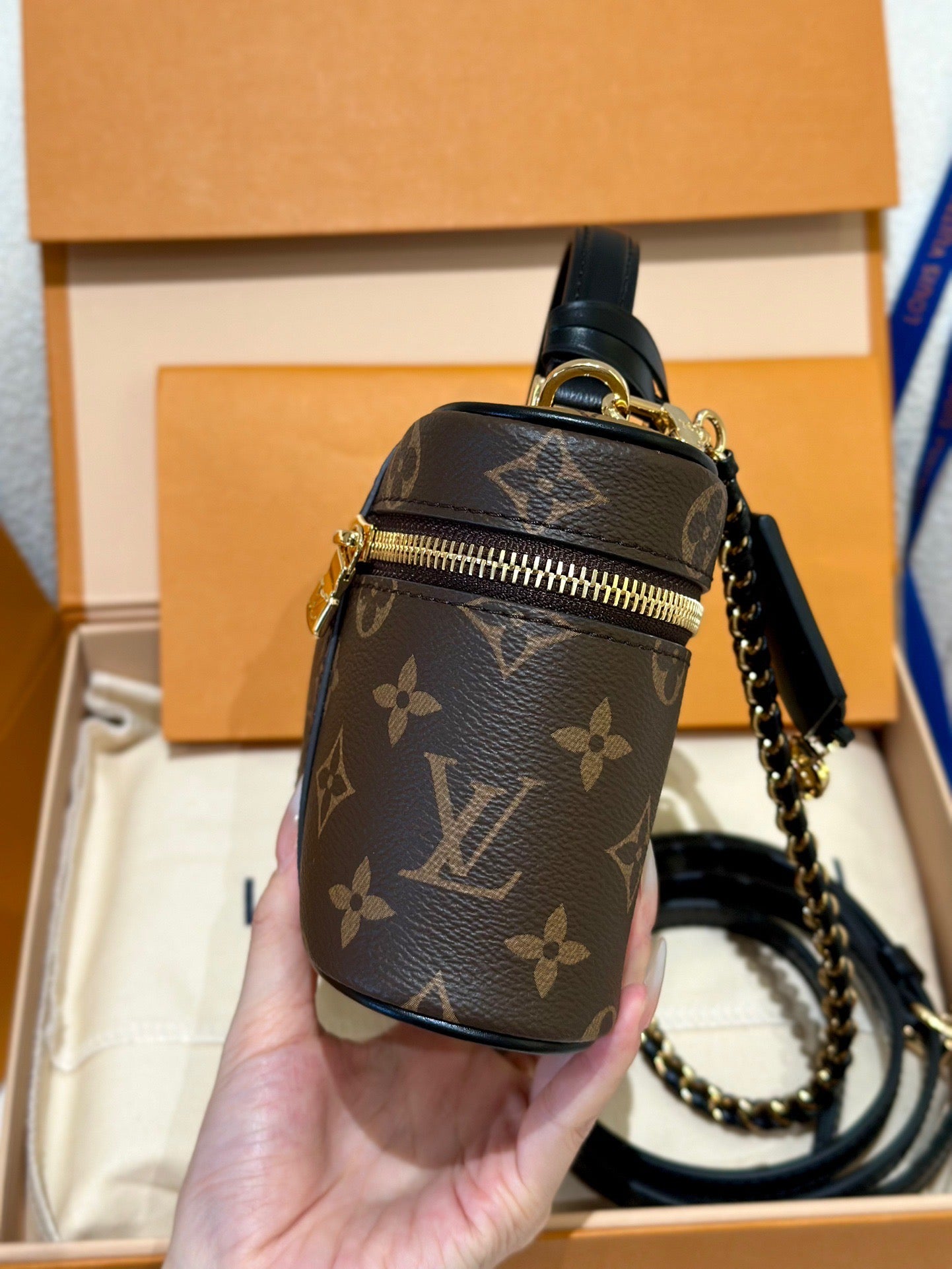 LV Bag