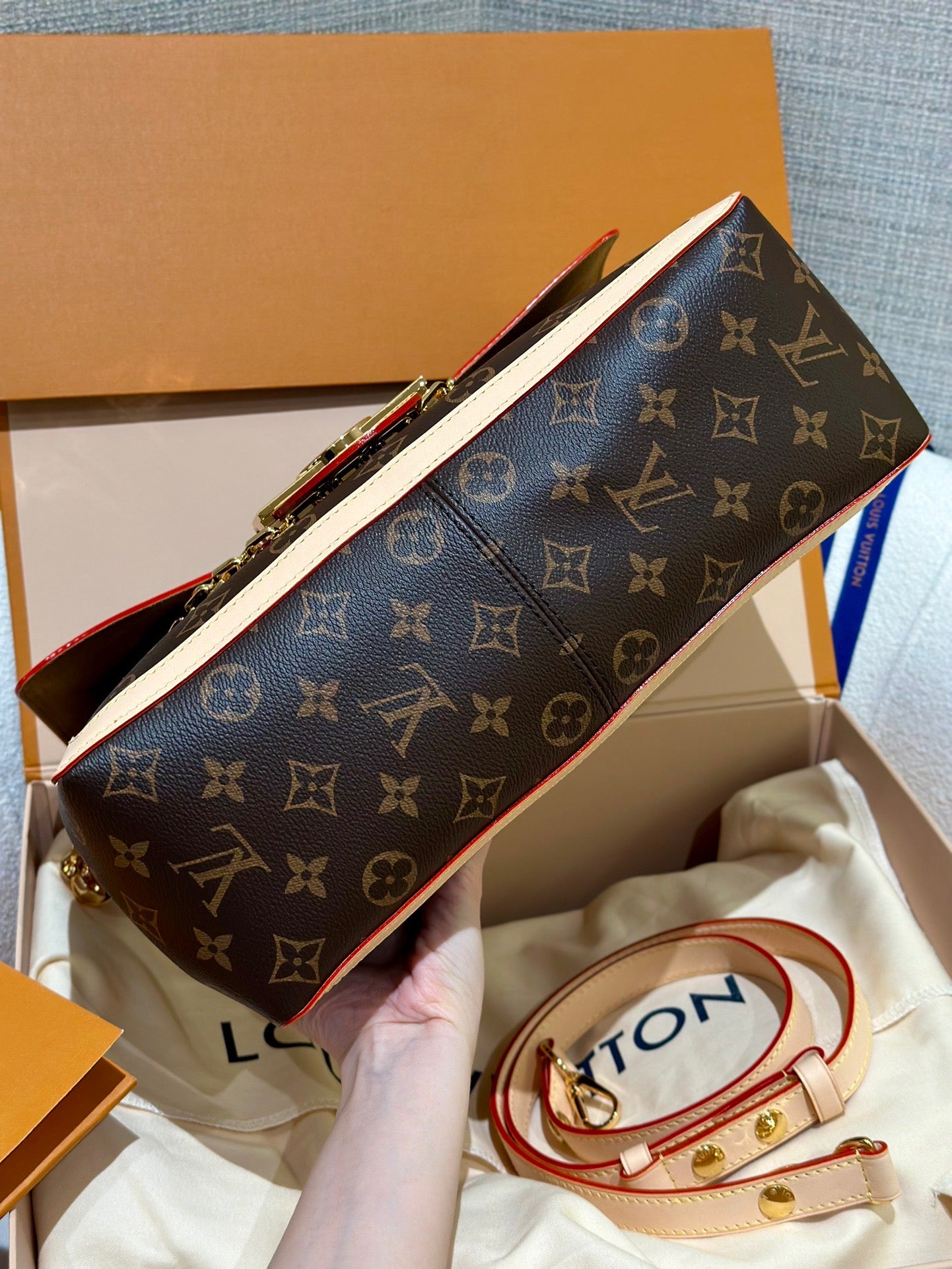 LV Bag