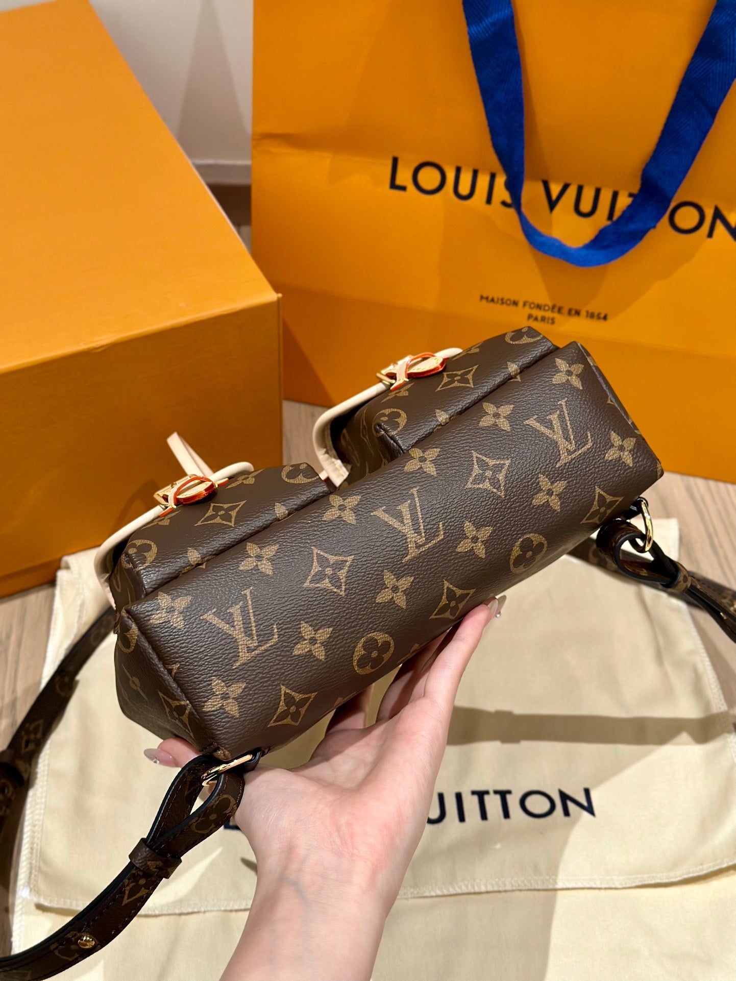 LV Bag