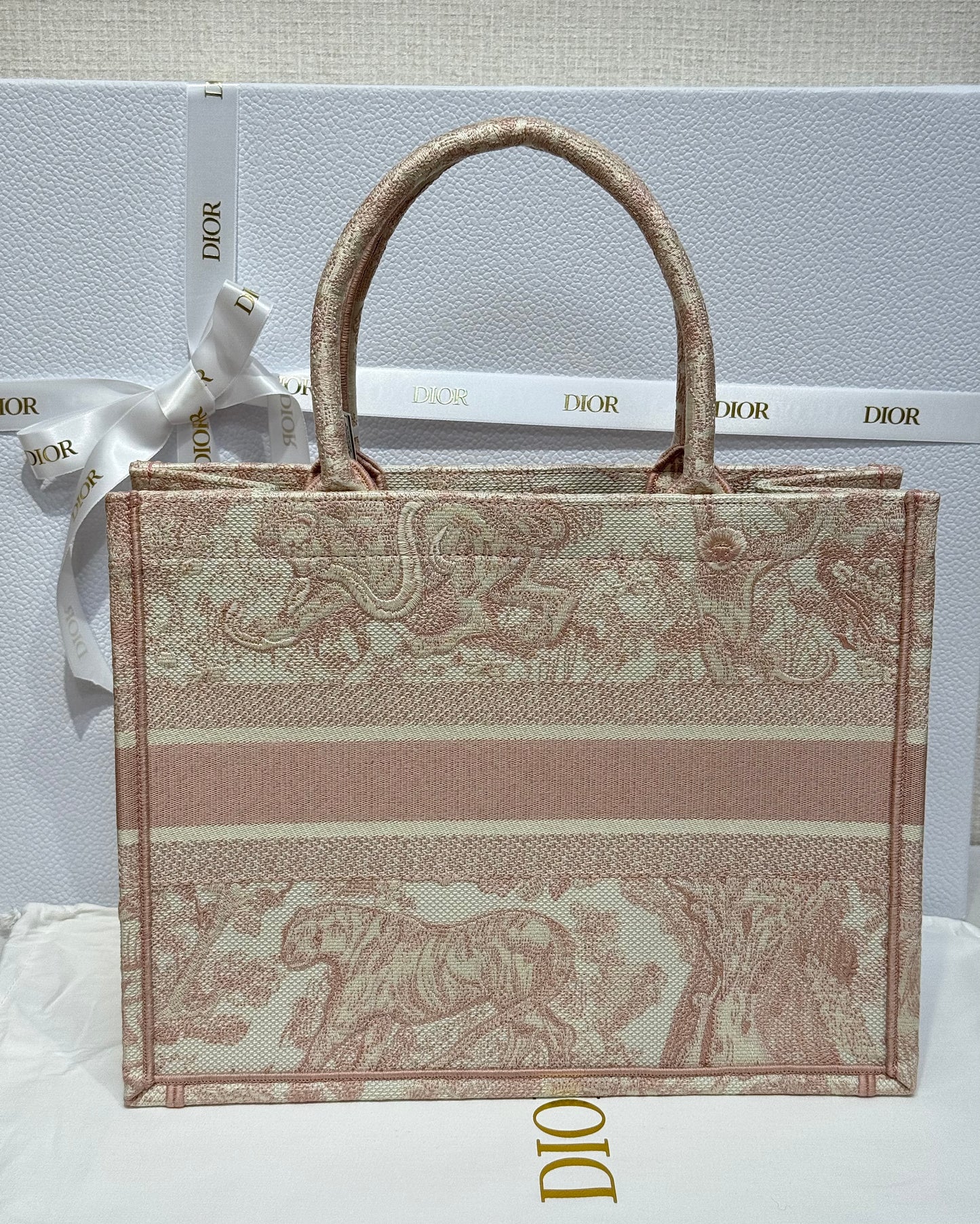 Dior Bag