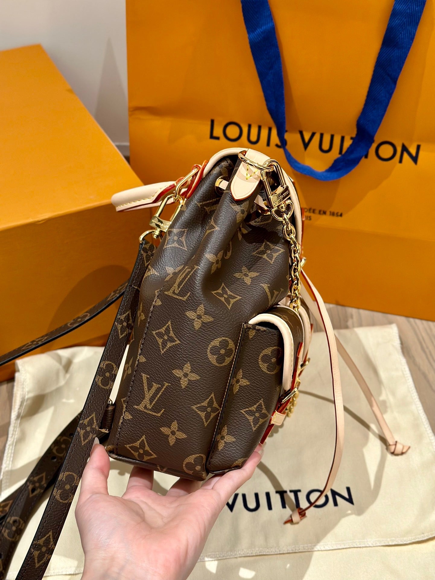 LV Bag