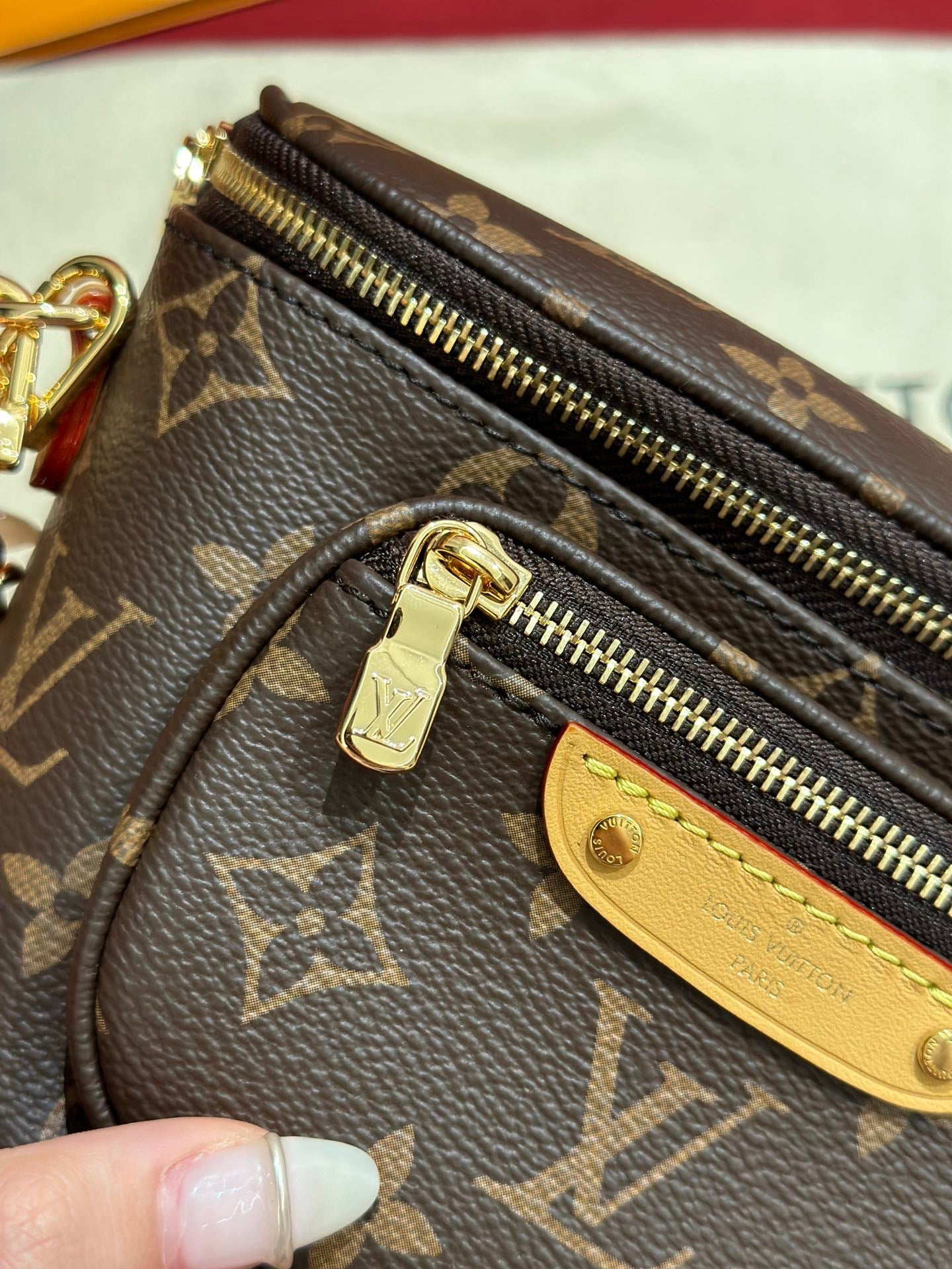 LV Bag