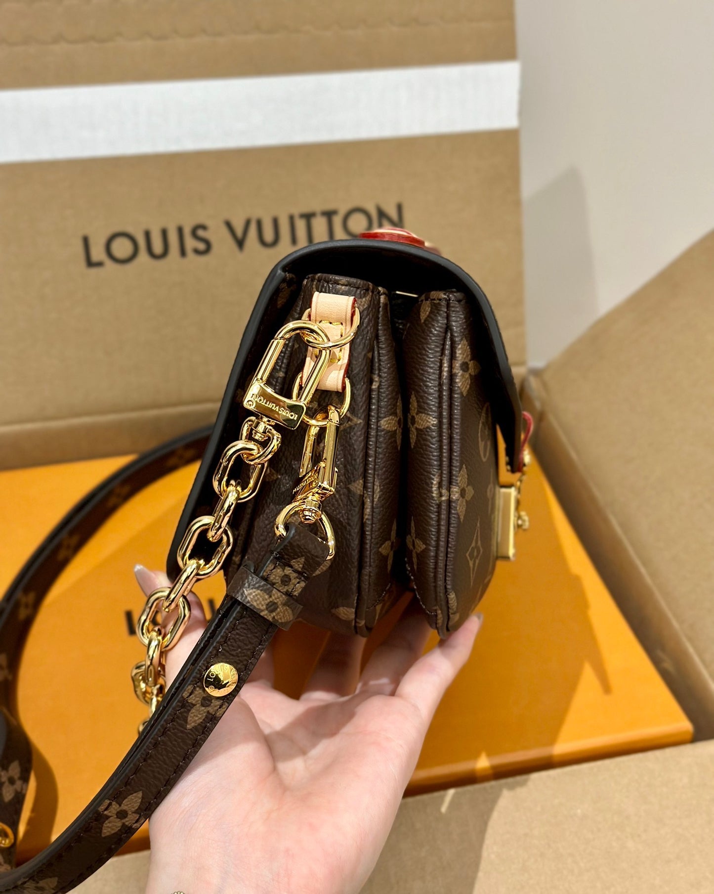 LV Bag