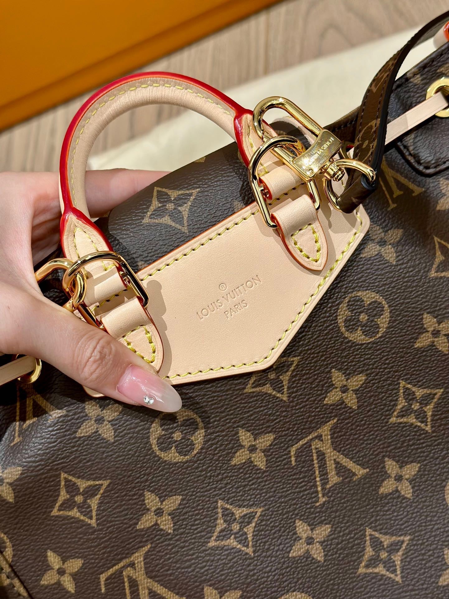 LV Bag