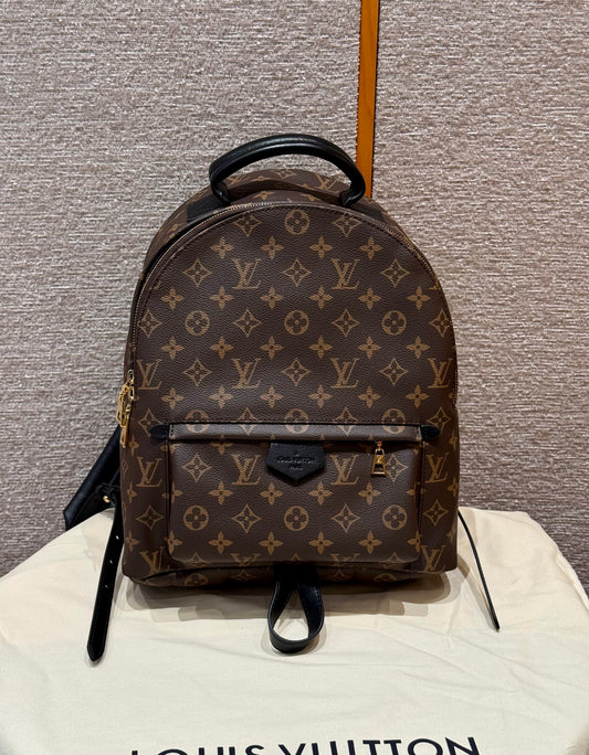 LV Bag