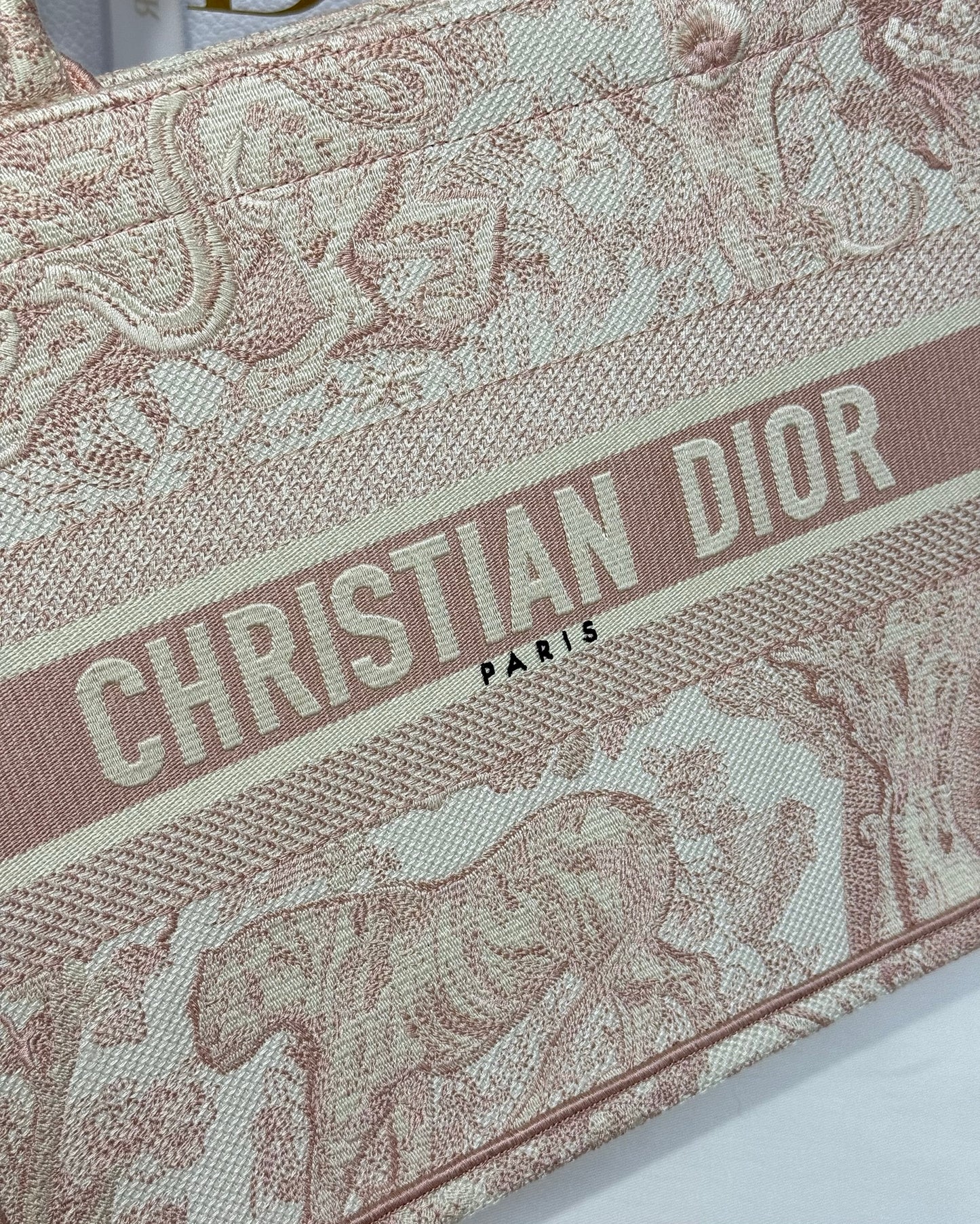 Dior Bag