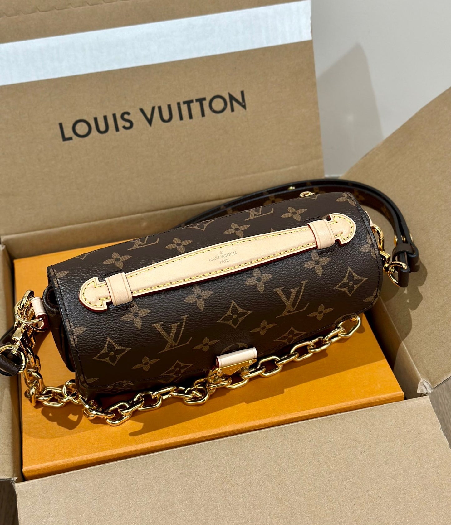 LV Bag