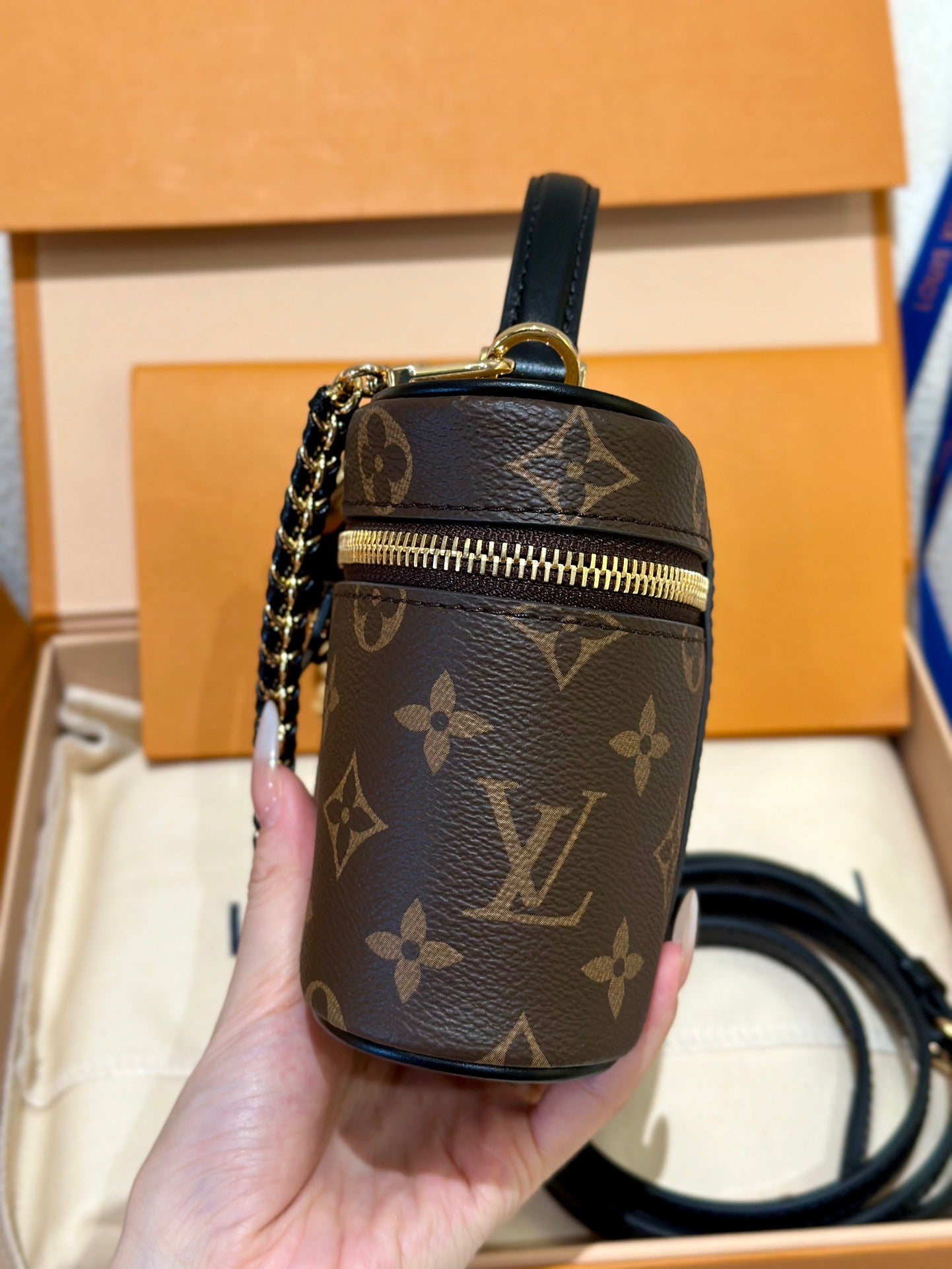 LV Bag