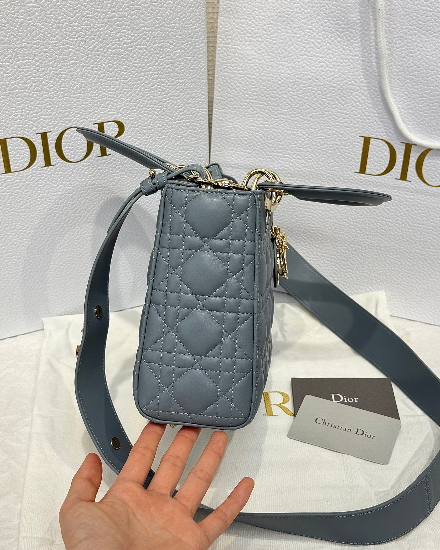 Dior Bag