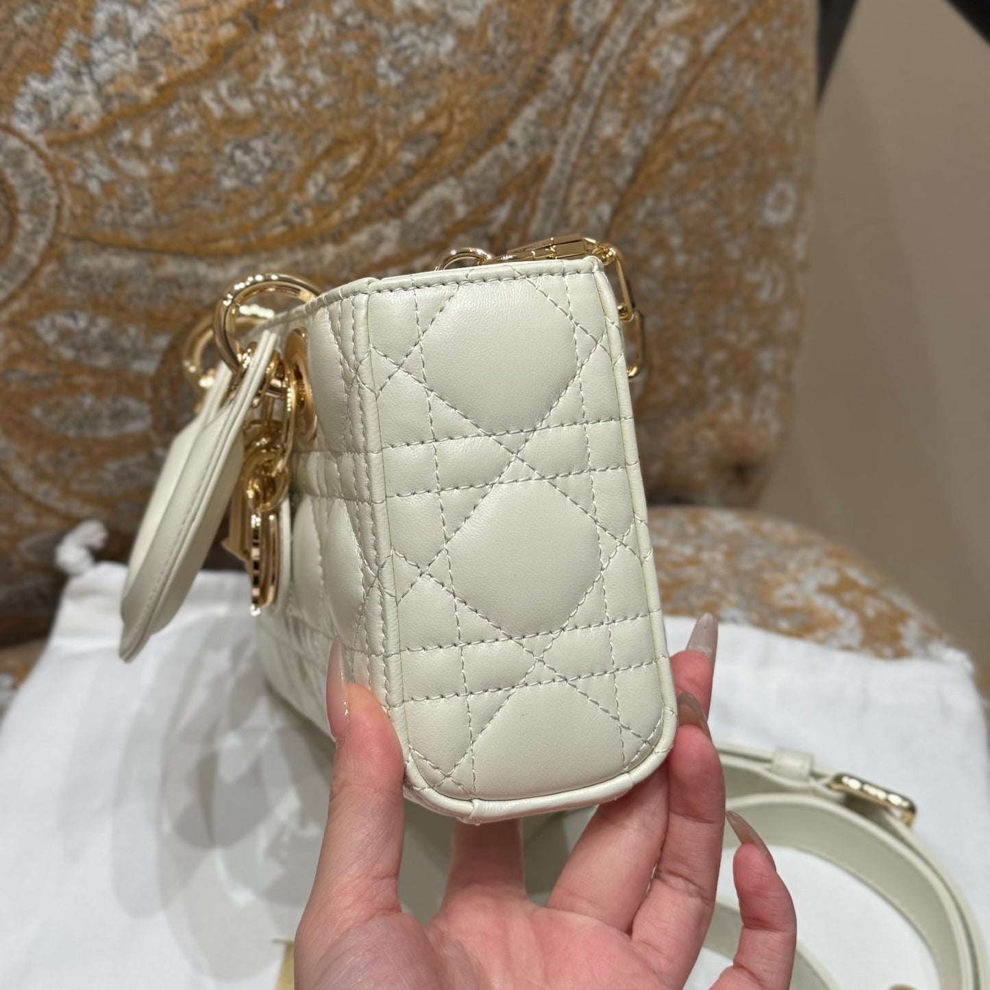 Dior Bag