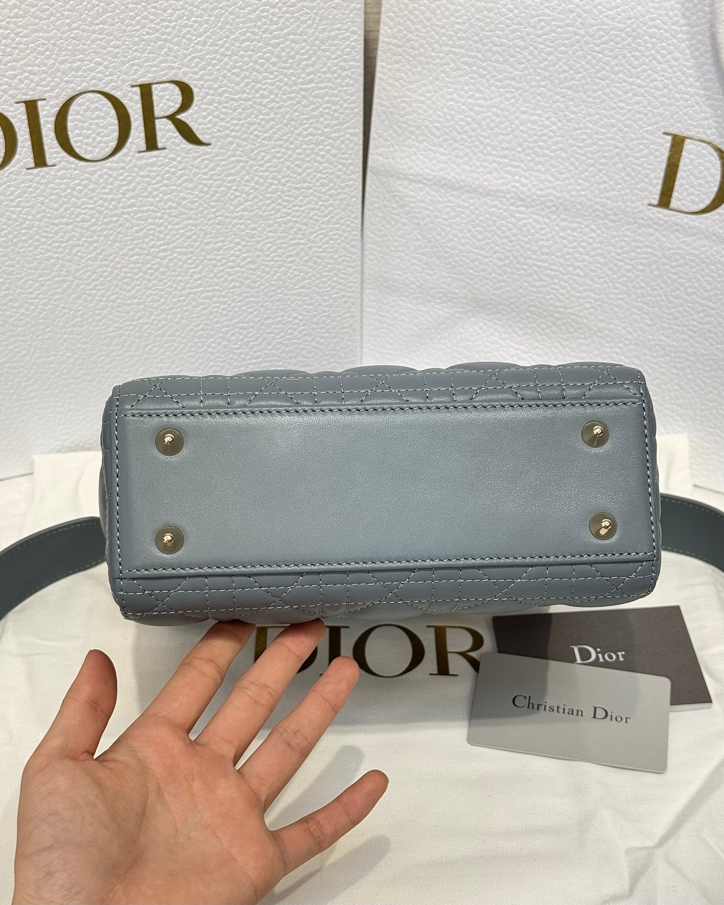 Dior Bag