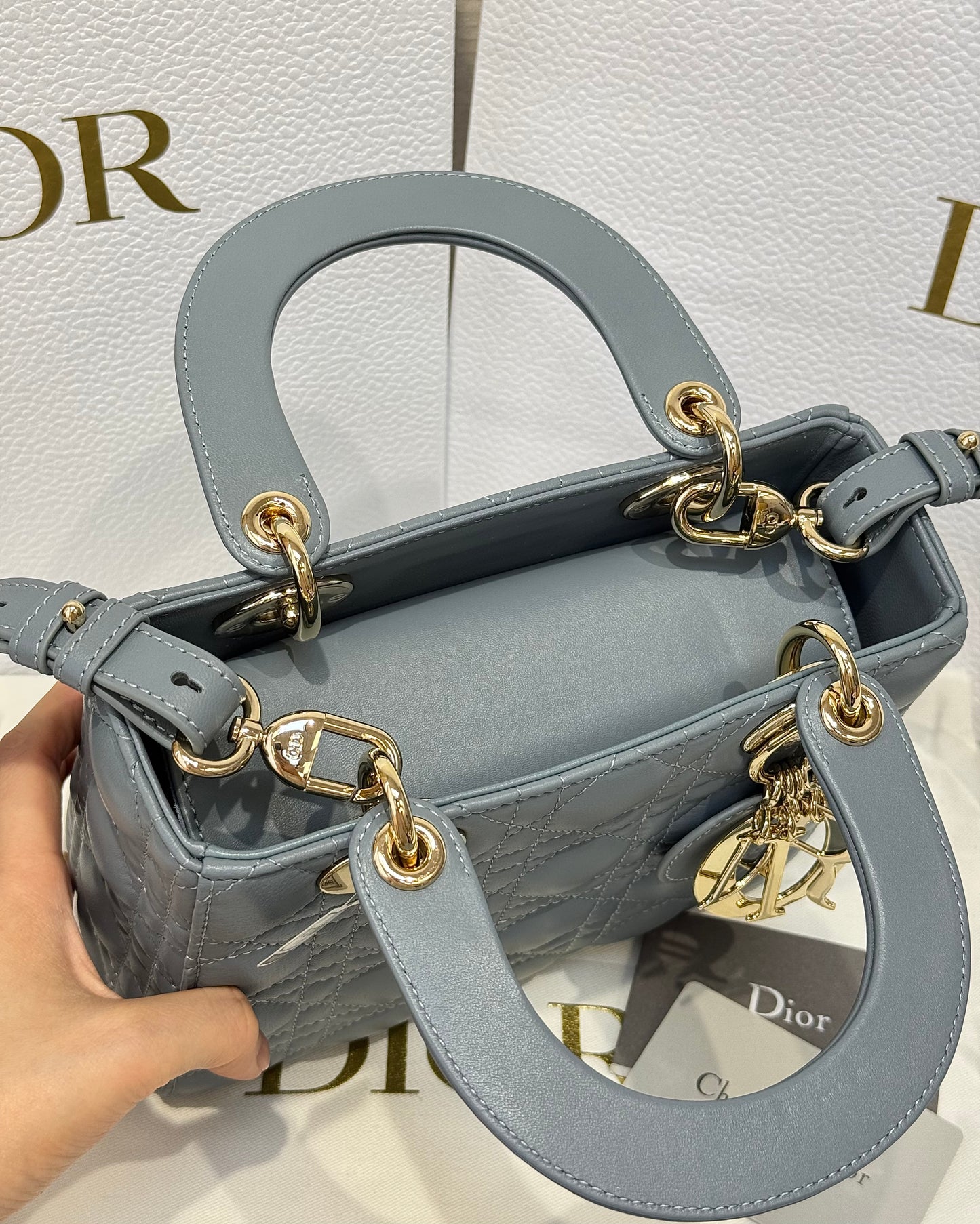 Dior Bag