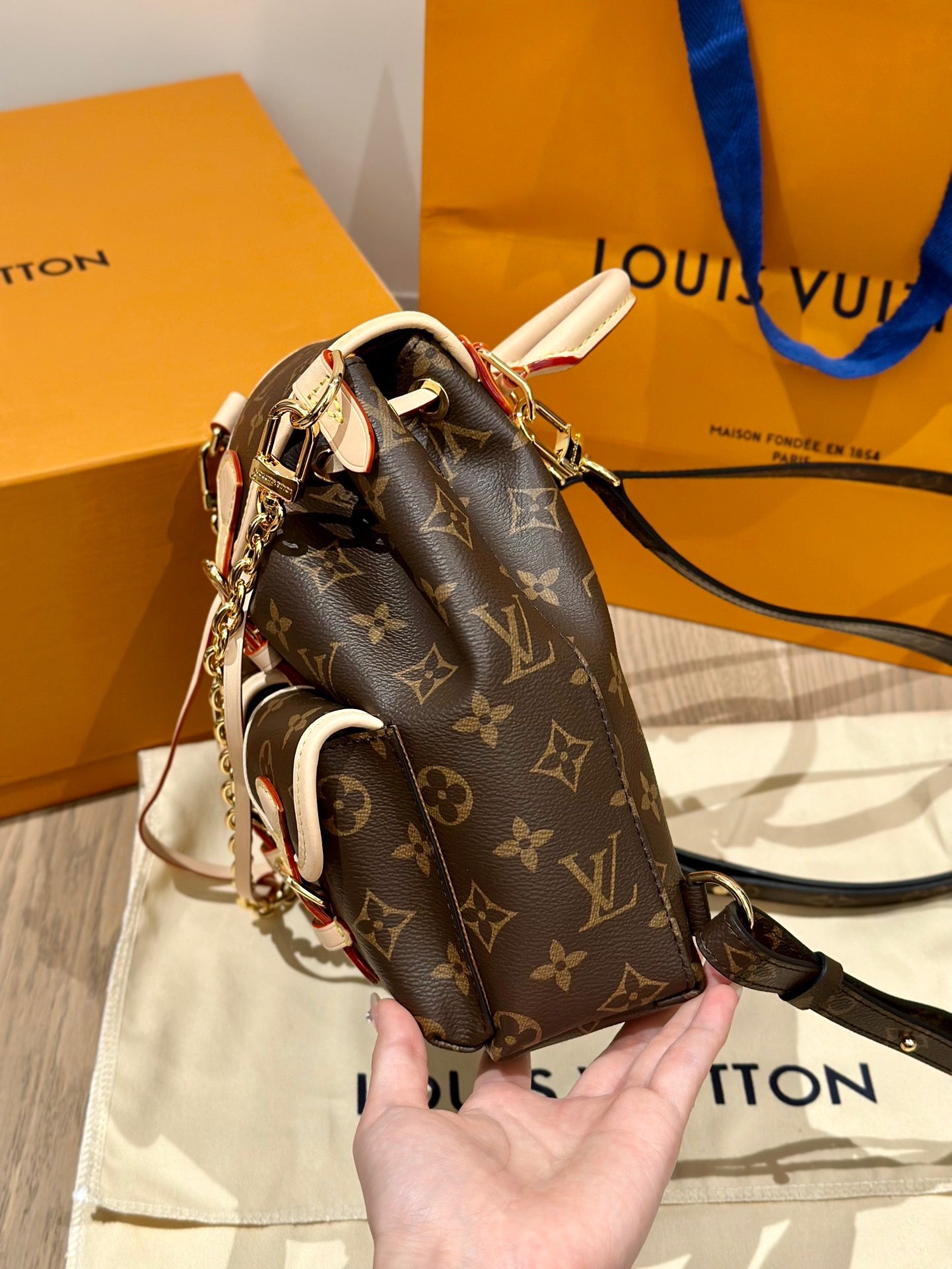 LV Bag
