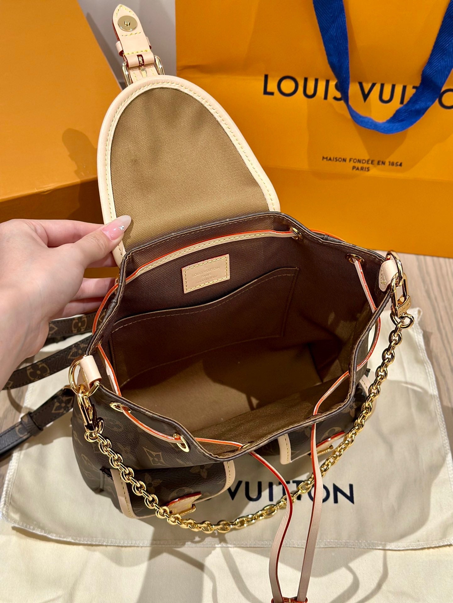 LV Bag