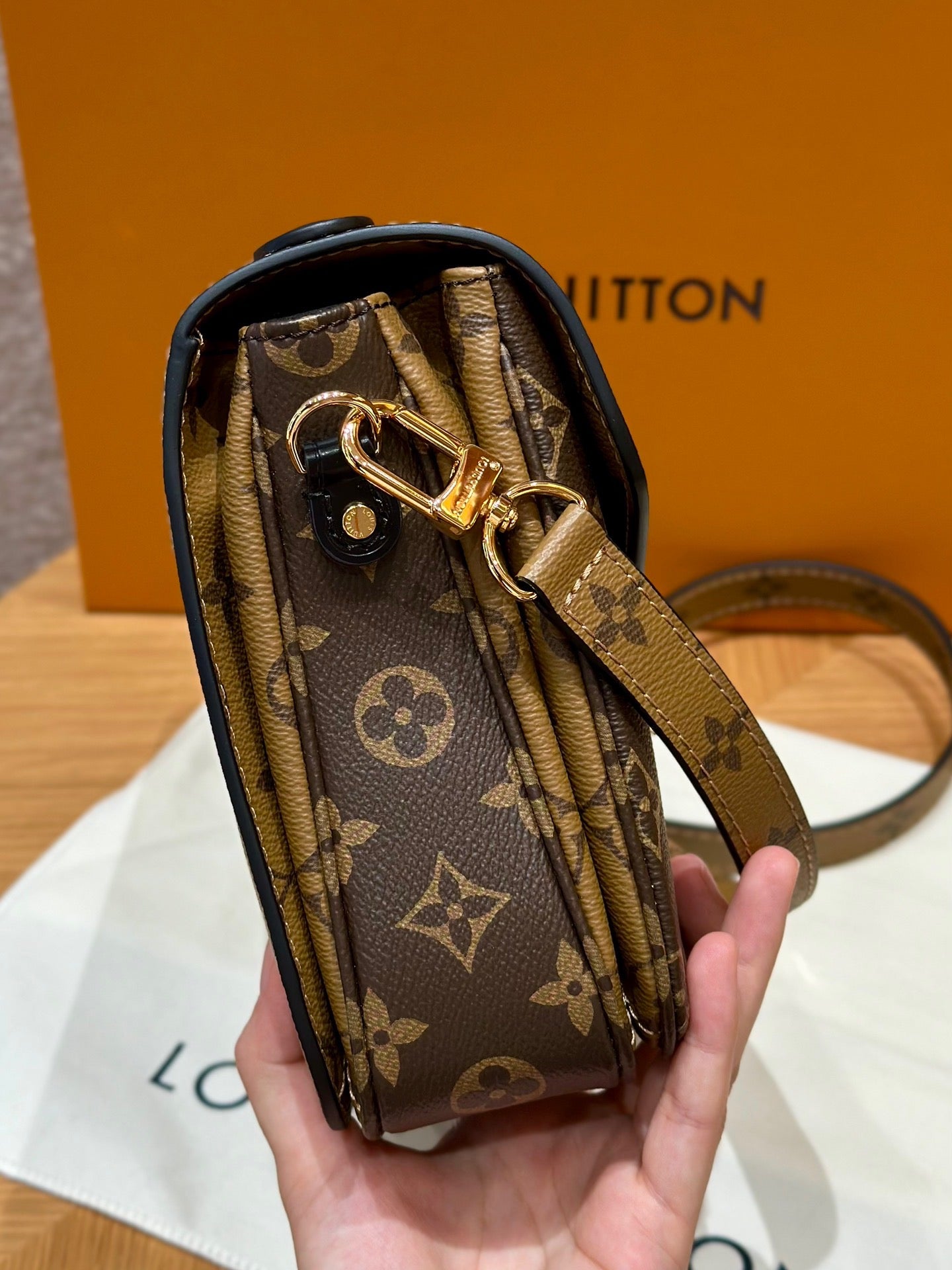 LV Bag