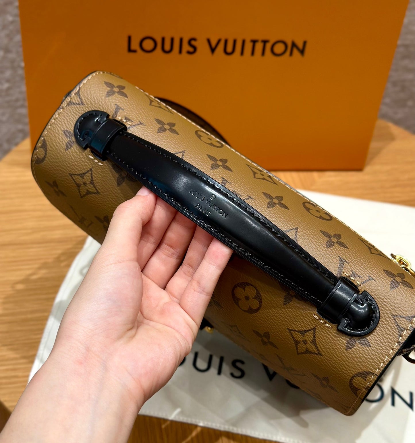 LV Bag