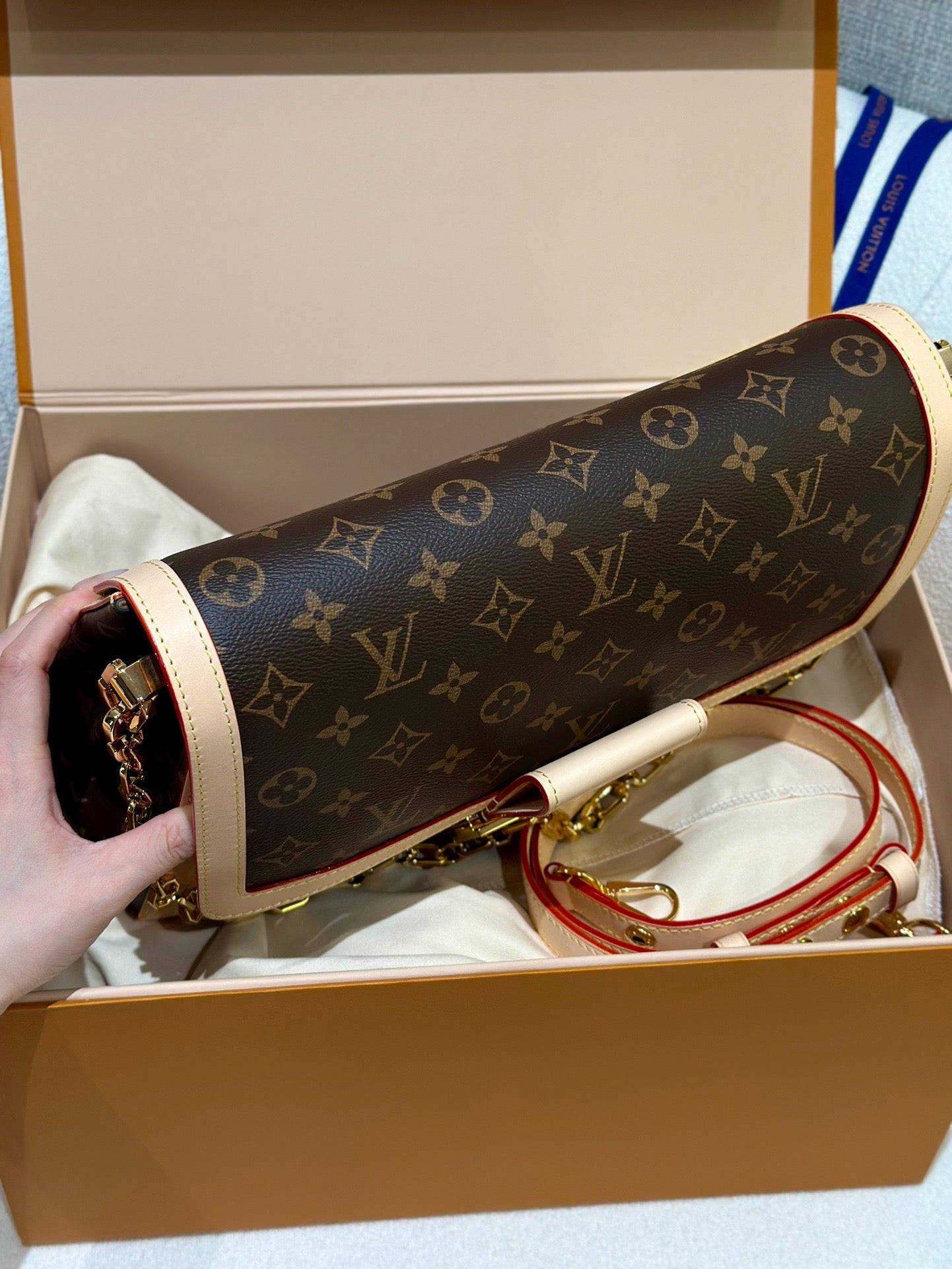 LV Bag