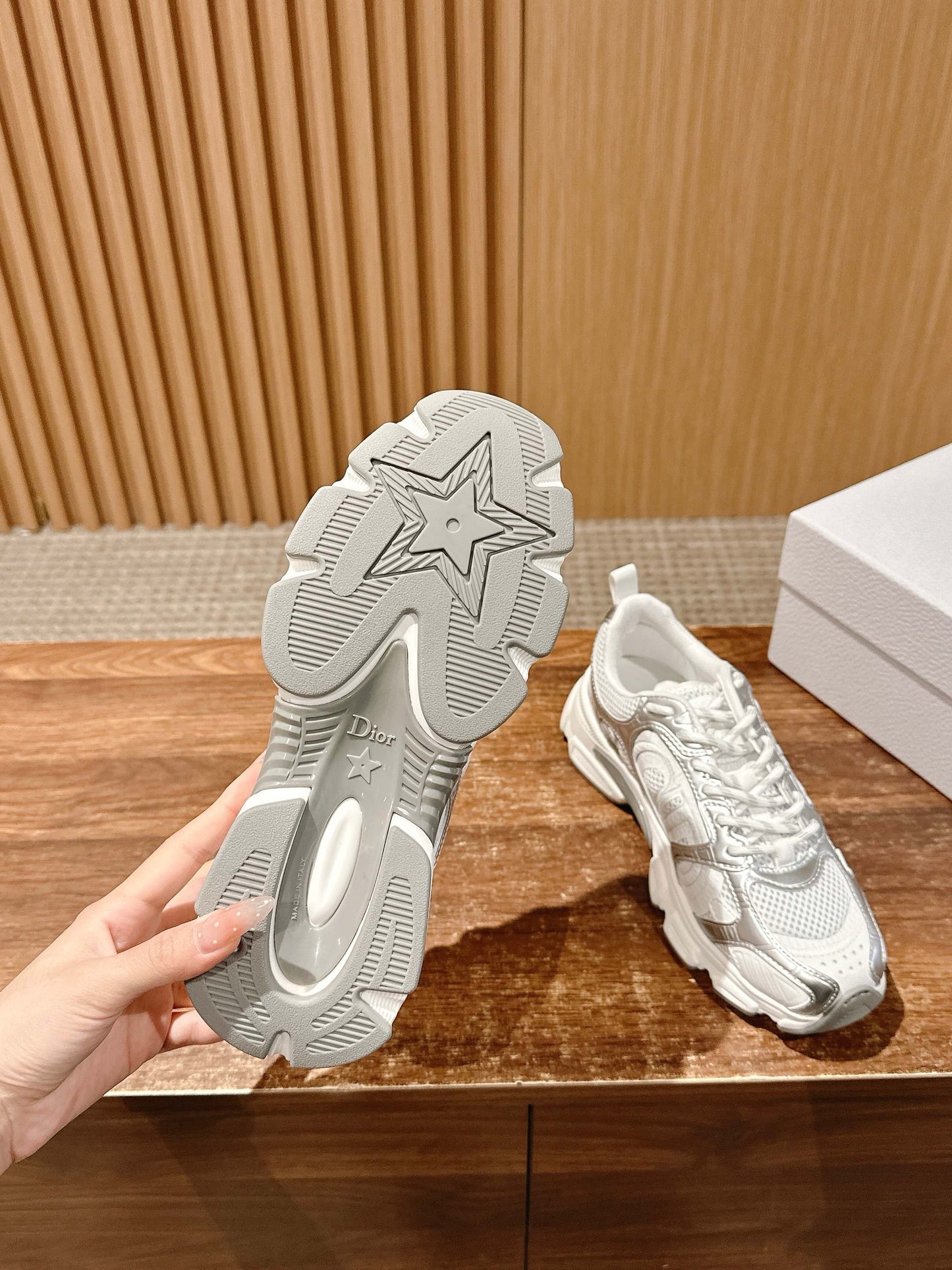 Dior Sneakers
