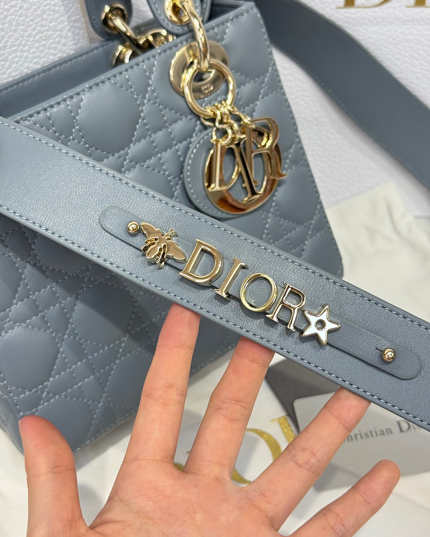 Dior Bag