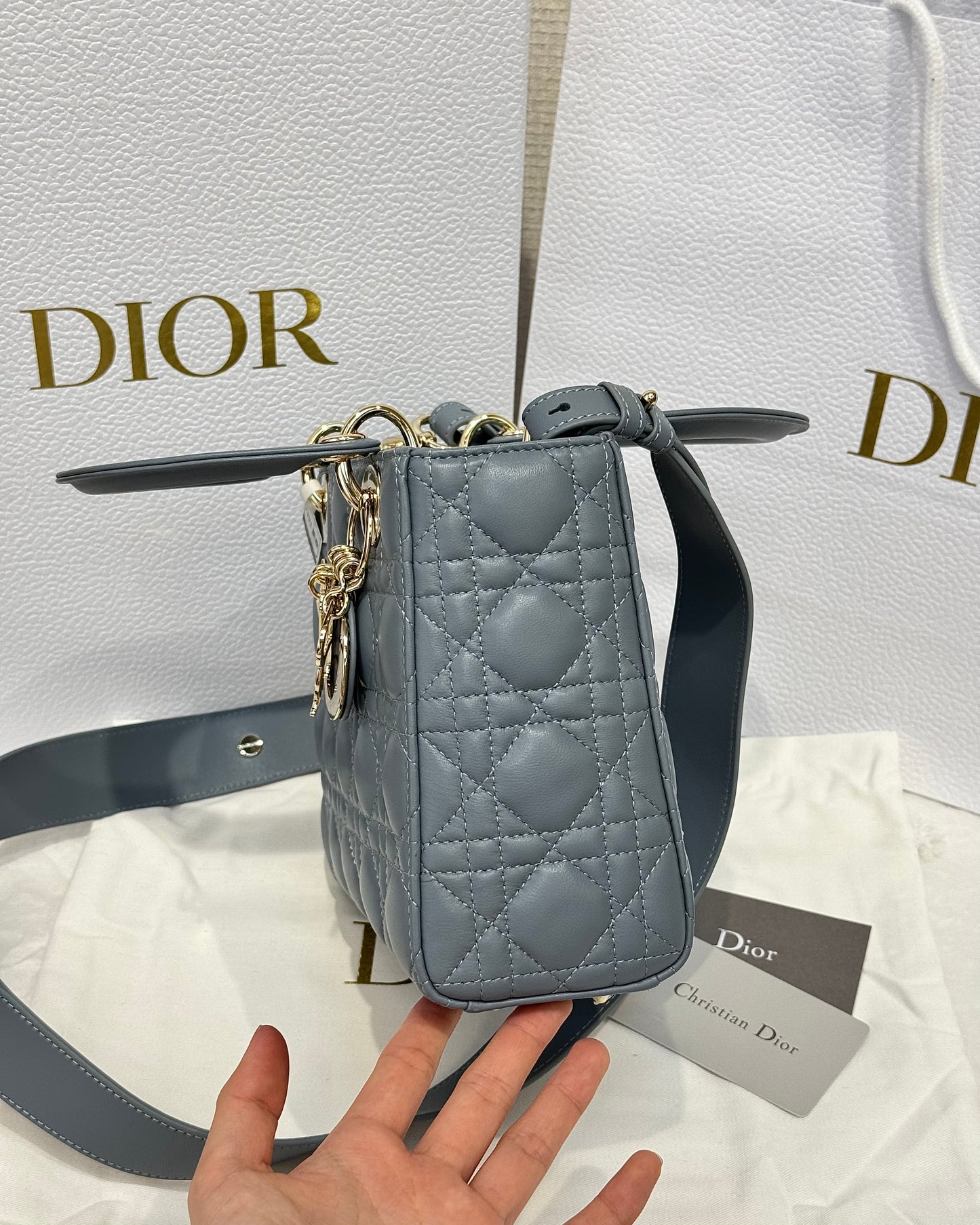 Dior Bag