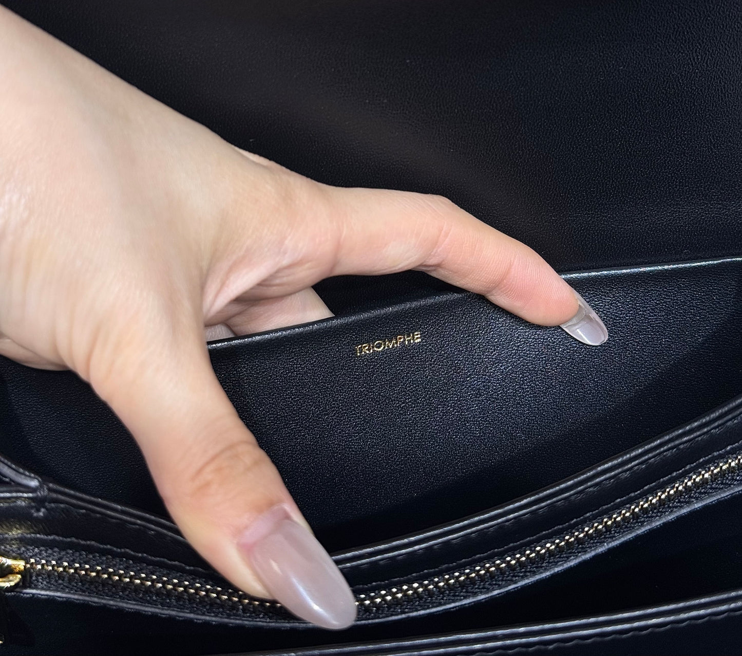 Celine Bag Triomphe