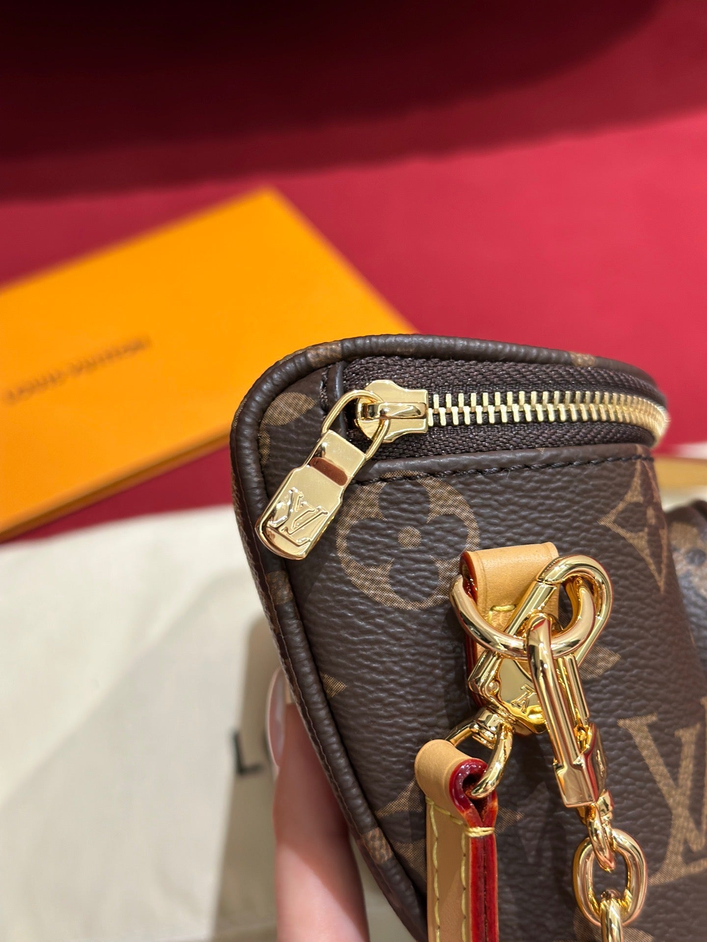 LV Bag