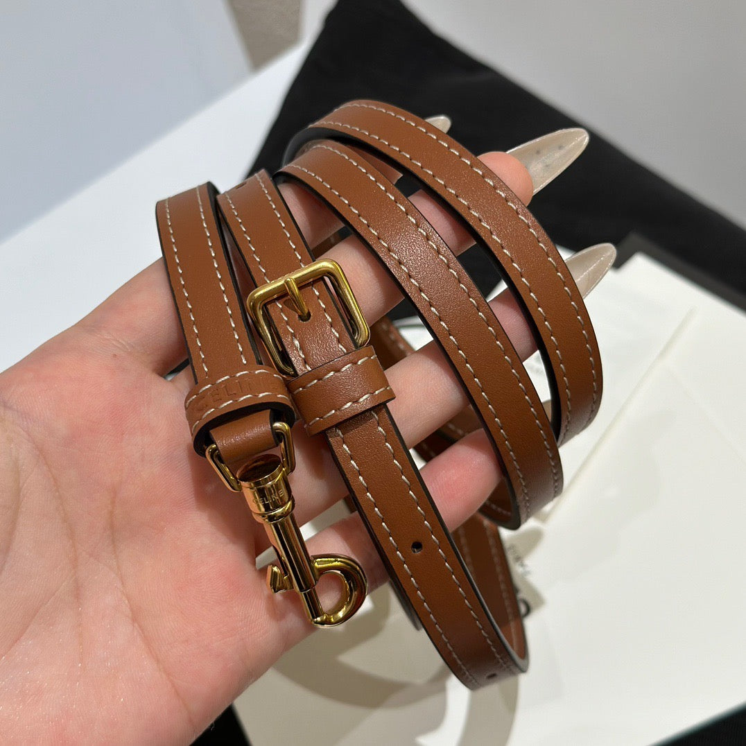 Celine Bag