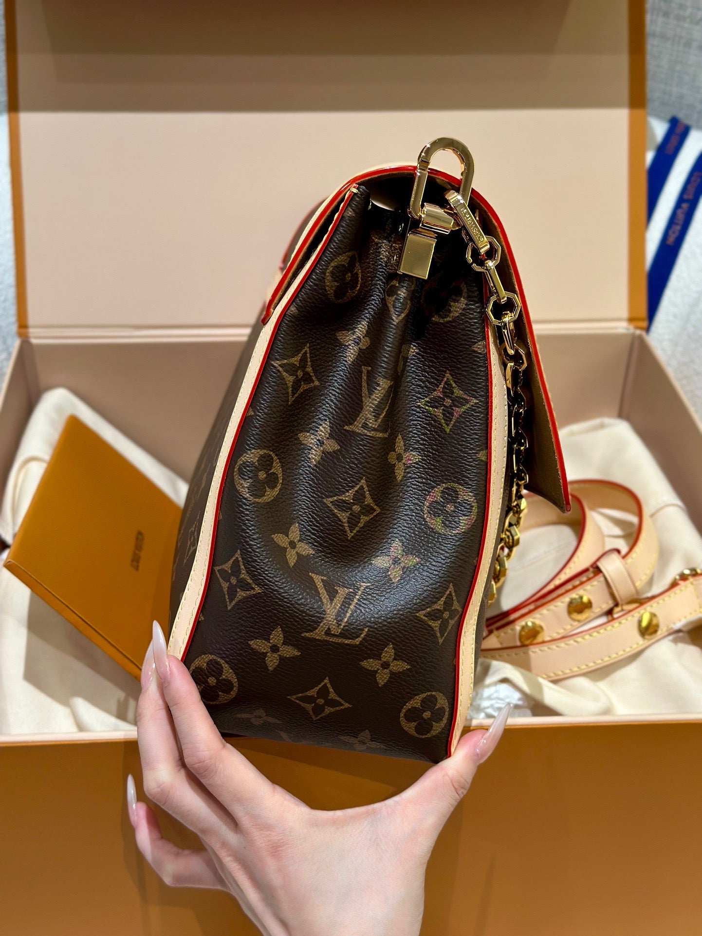 LV Bag